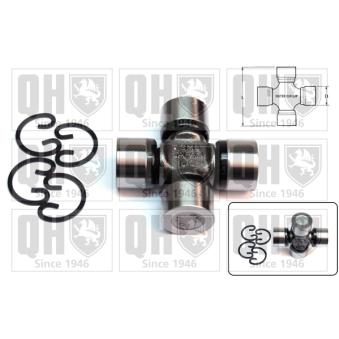 Croisillon, satellite-différentiel QUINTON HAZELL OEM 2720083010