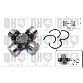 Croisillon, satellite-différentiel QUINTON HAZELL OEM 0437160100