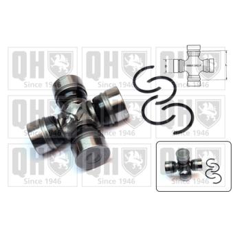 Croisillon, satellite-différentiel QUINTON HAZELL OEM 043710K060