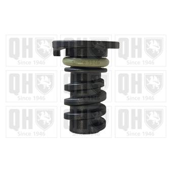 Vis-bouchon, carter d'huile QUINTON HAZELL QOC1013 pour AUDI A6 E 400 - 333cv