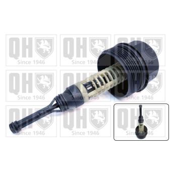 Couvercle, boîtier du filtre à huile QUINTON HAZELL OEM 6111800210