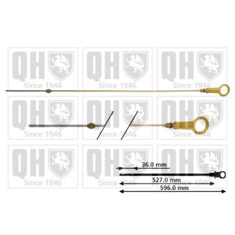 Jauge de niveau d'huile QUINTON HAZELL OEM 8200553001
