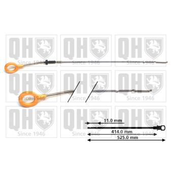 Jauge de niveau d'huile QUINTON HAZELL QOD151 pour RENAULT LAGUNA 3.5 V6 - 238cv Jauge de niveau d'huile QUINTON HAZELL QOD151 pour RENAULT LAGUNA 3.5 V6 - 238cv