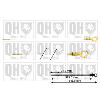 Jauge de niveau d'huile QUINTON HAZELL QOD163 pour RENAULT LATITUDE 3.0 DCI 240 - 241cv