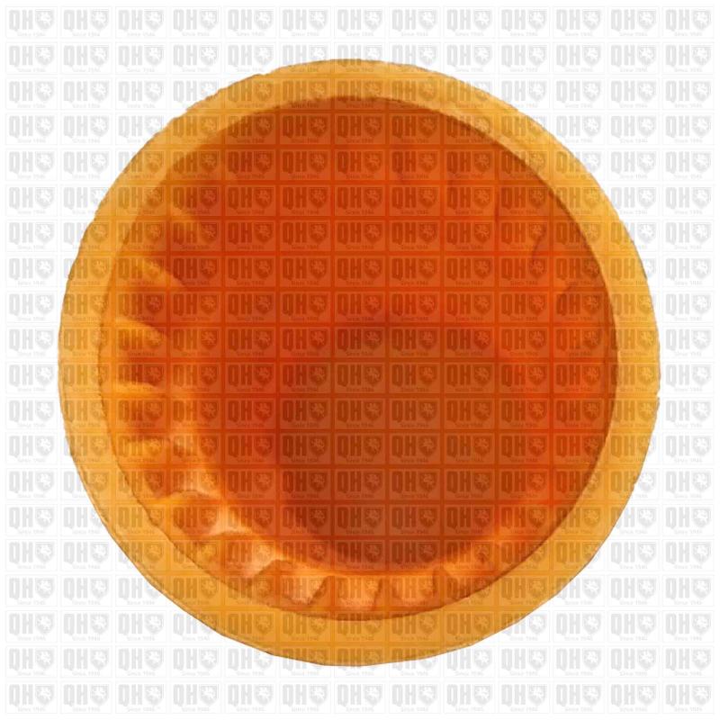 Entonnoir, jauge de niveau d'huile QUINTON HAZELL QOD171 - Visuel 2