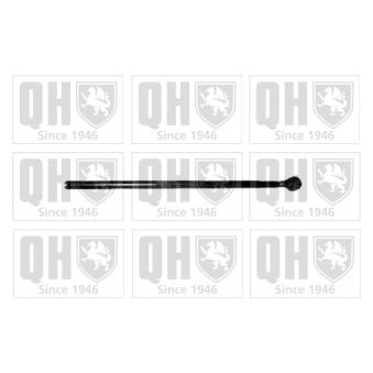 Oeil de levier, barre de connexion QUINTON HAZELL QR5007S