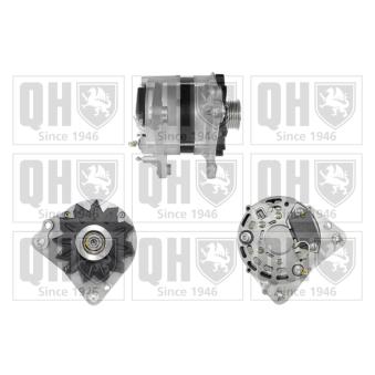 Alternateur QUINTON HAZELL OEM 443113516591 Alternateur QUINTON HAZELL OEM 443113516591