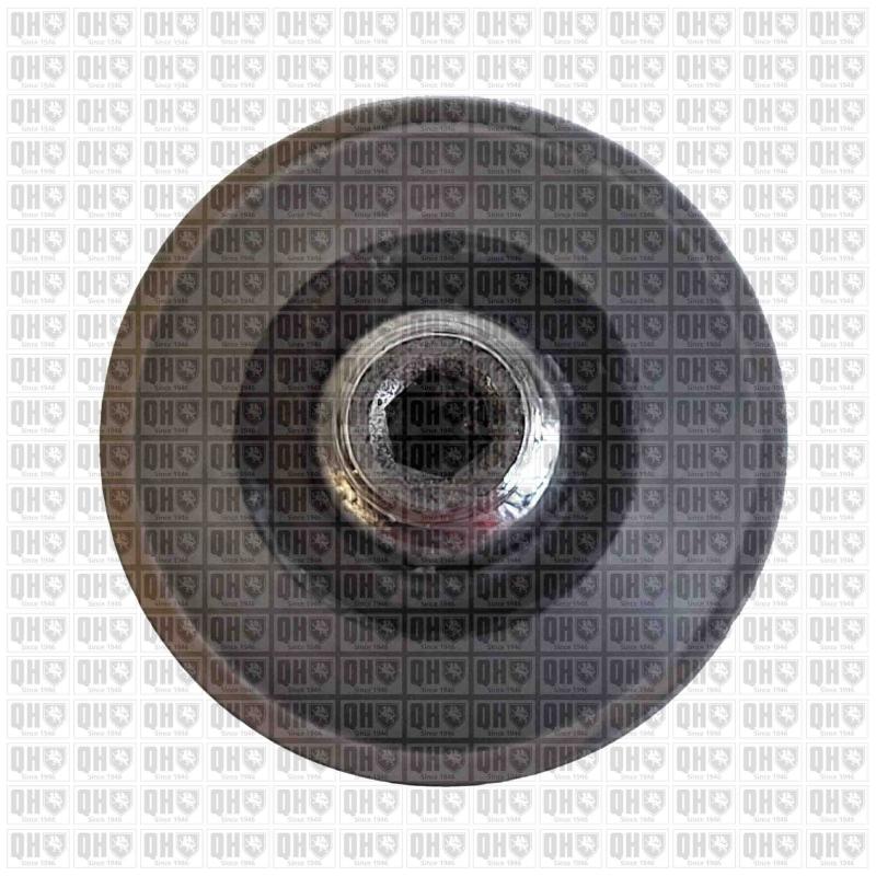 Rotule de suspension QUINTON HAZELL QSJ3527S - Visuel 2