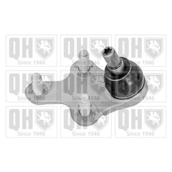 Rotule de suspension QUINTON HAZELL OEM 9831088280 Rotule de suspension QUINTON HAZELL OEM 9831088280