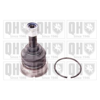 Rotule de suspension QUINTON HAZELL QSJ3781S pour VOLKSWAGEN AMAROK 2.0 BiTDI 4motion - 180cv