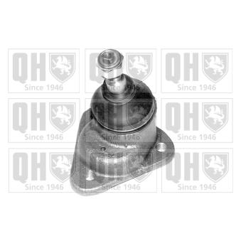 Rotule de suspension QUINTON HAZELL OEM 113407361E