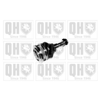 Rotule de suspension QUINTON HAZELL OEM SE141140104A Rotule de suspension QUINTON HAZELL OEM SE141140104A