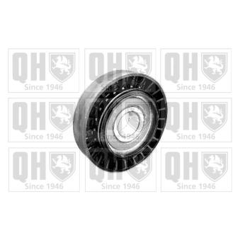 Poulie renvoi/transmission, courroie trapézoïdale à nervures QUINTON HAZELL QTA1002 pour FIAT PUNTO 1.7 TD - 69cv