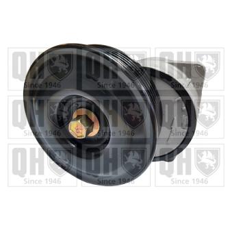 Tendeur, courroie trapézoïdale à nervures QUINTON HAZELL OEM V97MF6A228AB