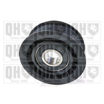 Poulie renvoi/transmission, courroie trapézoïdale à nervures QUINTON HAZELL QTA1061 pour DODGE DURANGO 5.7 - 364cv