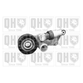 Tendeur de courroie, courroie trapézoïdale à nervures QUINTON HAZELL OEM 11281717210 Tendeur de courroie, courroie trapézoïdale à nervures QUINTON HAZELL OEM 11281717210