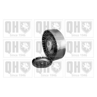 Poulie renvoi/transmission, courroie trapézoïdale à nervures QUINTON HAZELL QTA1093 pour DODGE CHARGER 2.9 CRDi - 144cv
