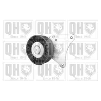 Poulie renvoi/transmission, courroie trapézoïdale à nervures QUINTON HAZELL QTA1123 pour JEEP GLADIATOR 1.8 16V - 110cv