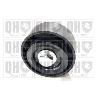 Poulie renvoi/transmission, courroie trapézoïdale à nervures QUINTON HAZELL OEM 1613837880