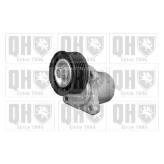 Tendeur, courroie trapézoïdale à nervures QUINTON HAZELL OEM 30731938