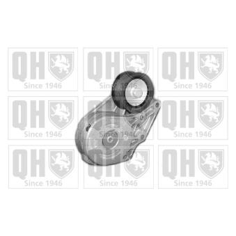 Tendeur, courroie trapézoïdale à nervures QUINTON HAZELL [QTA1182]