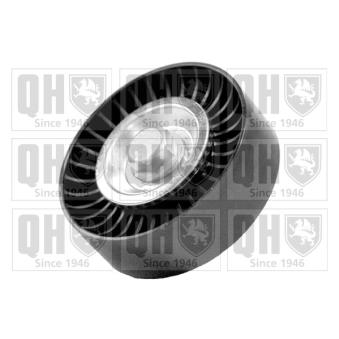 Poulie renvoi/transmission, courroie trapézoïdale à nervures QUINTON HAZELL QTA1382 pour RENAULT CLIO 2.0 16V - 177cv