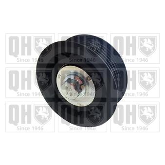 Poulie renvoi/transmission, courroie trapézoïdale à nervures QUINTON HAZELL OEM 55190812