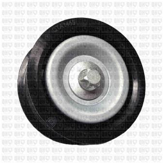 Poulie renvoi/transmission, courroie trapézoïdale à nervures QUINTON HAZELL QTA1455