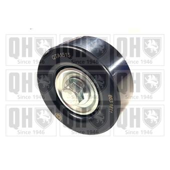 Poulie renvoi/transmission, courroie trapézoïdale à nervures QUINTON HAZELL [QTA1515]