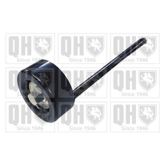Poulie-tendeur, courroie trapézoïdale à nervures QUINTON HAZELL QTA1596 pour VOLKSWAGEN POLO 1.7 SDI - 57cv