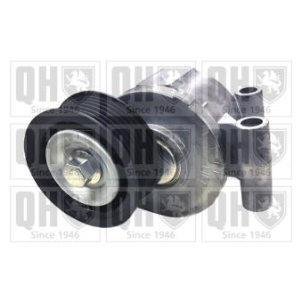Poulie renvoi/transmission, courroie trapézoïdale à nervures QUINTON HAZELL OEM 119233042R Poulie renvoi/transmission, courroie trapézoïdale à nervures QUINTON HAZELL OEM 119233042R