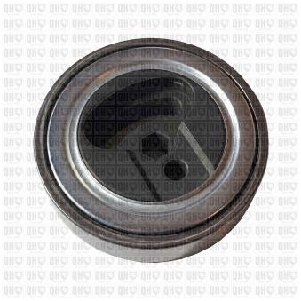 Poulie-tendeur, courroie trapézoïdale à nervures QUINTON HAZELL [QTA1658]