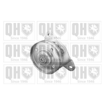 Poulie renvoi/transmission, courroie trapézoïdale à nervures QUINTON HAZELL QTA210 Poulie renvoi/transmission, courroie trapézoïdale à nervures QUINTON HAZELL QTA210