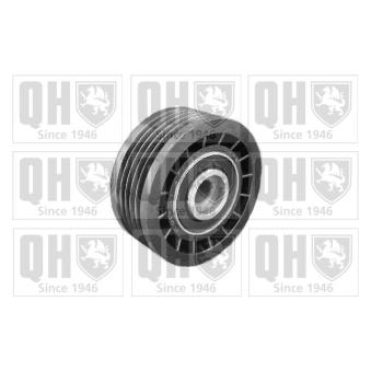 Poulie renvoi/transmission, courroie trapézoïdale à nervures QUINTON HAZELL QTA731 pour RENAULT MASTER 2.5 D - 80cv