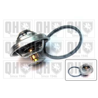 Thermostat d'eau QUINTON HAZELL OEM 133804