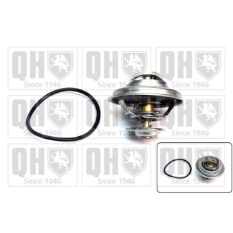Thermostat d'eau QUINTON HAZELL OEM 11531466173 Thermostat d'eau QUINTON HAZELL OEM 11531466173
