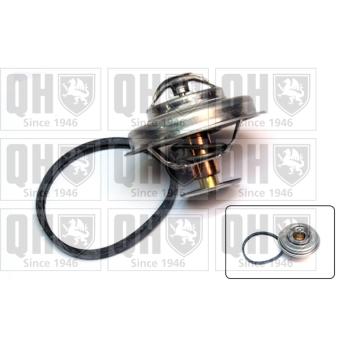 Thermostat d'eau QUINTON HAZELL OEM 93501145