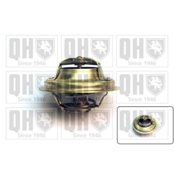 Thermostat d'eau QUINTON HAZELL [QTH341]