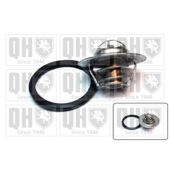 Thermostat d'eau QUINTON HAZELL OEM 33446162
