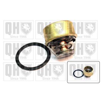Thermostat d'eau QUINTON HAZELL [QTH431K]