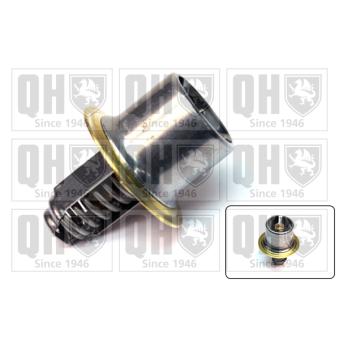 Thermostat d'eau QUINTON HAZELL QTH433K