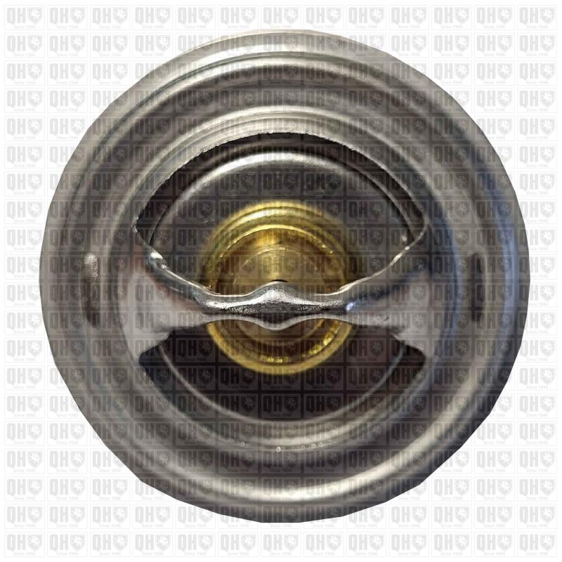 Thermostat d'eau QUINTON HAZELL QTH488K - Visuel 2