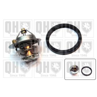 Thermostat d'eau QUINTON HAZELL OEM 96MM8575A1A