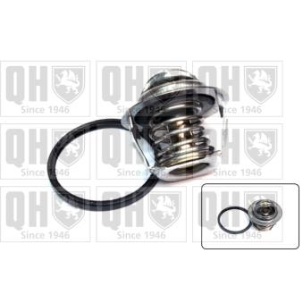 Thermostat d'eau QUINTON HAZELL OEM 90537811 Thermostat d'eau QUINTON HAZELL OEM 90537811