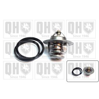 Thermostat d'eau QUINTON HAZELL OEM 4500823 Thermostat d'eau QUINTON HAZELL OEM 4500823