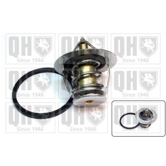 Thermostat d'eau QUINTON HAZELL OEM 19301PR7306
