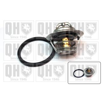 Thermostat d'eau QUINTON HAZELL OEM 8200525397