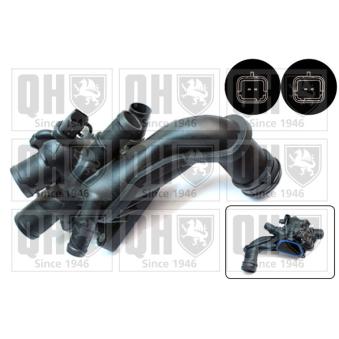 Thermostat, liquide de refroidissement QUINTON HAZELL OEM 9810916980 Thermostat, liquide de refroidissement QUINTON HAZELL OEM 9810916980