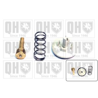 Thermostat d'eau QUINTON HAZELL OEM 03C121110A