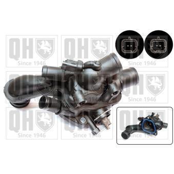Thermostat, liquide de refroidissement QUINTON HAZELL OEM 1336Z8